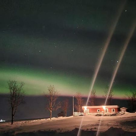 Hoefthi Cottages Dalvík Esterno foto