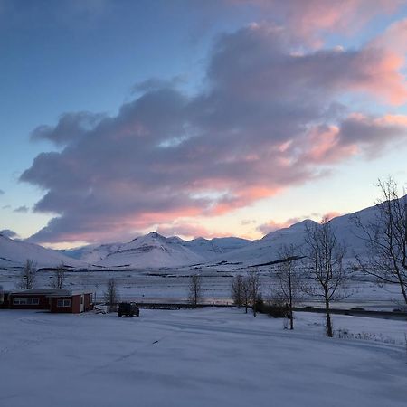 Hoefthi Cottages Dalvík Esterno foto