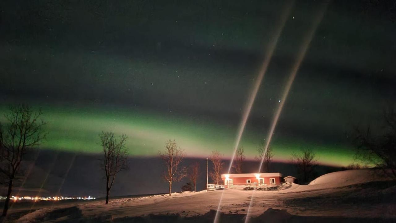 Hoefthi Cottages Dalvík Esterno foto
