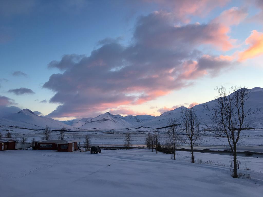 Hoefthi Cottages Dalvík Esterno foto